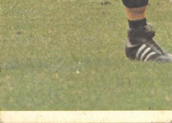 1973 Scanlens VFL #30 Rodney Blake Back
